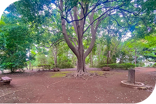 location_foster_img4